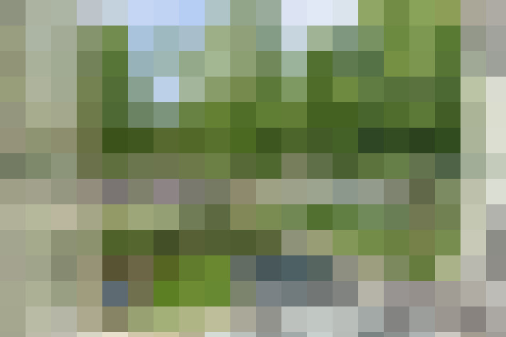 Image 20