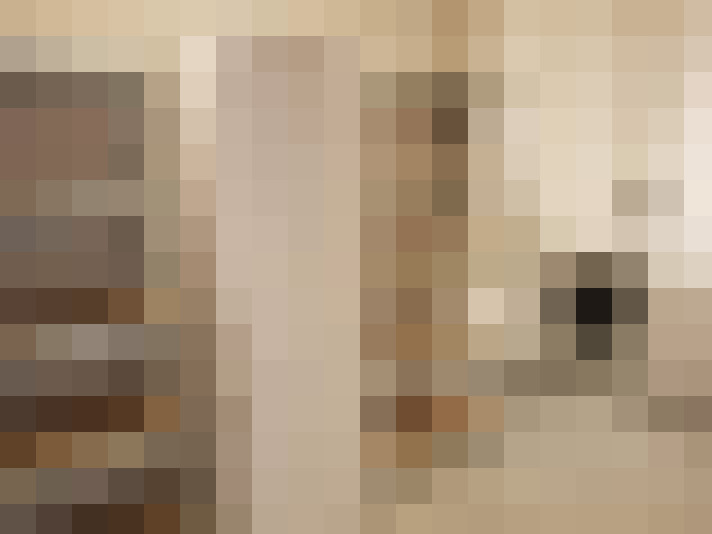 Image 18