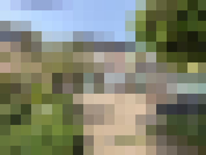 Image 16