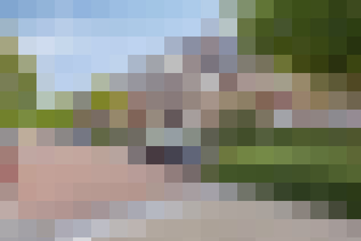 Image 33