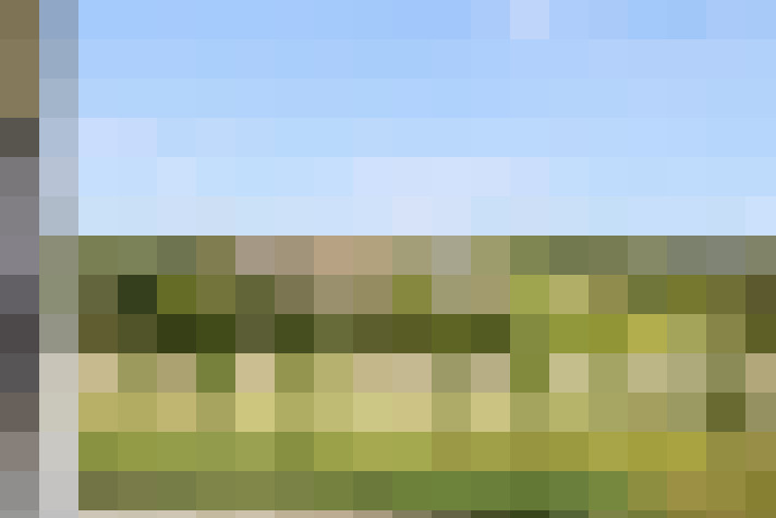 Image 20