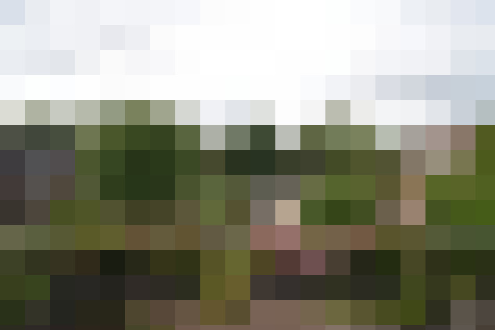 Image 25