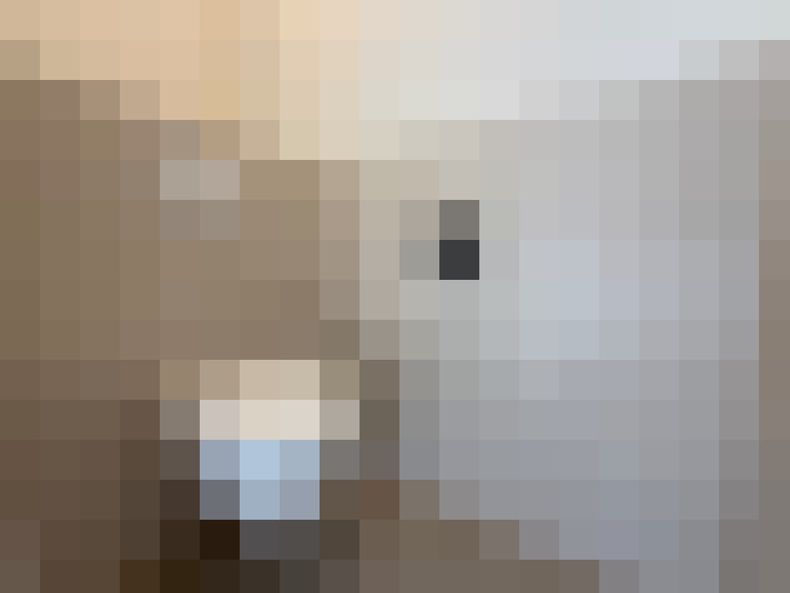 Image 13