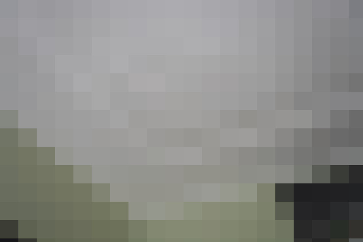  / #33