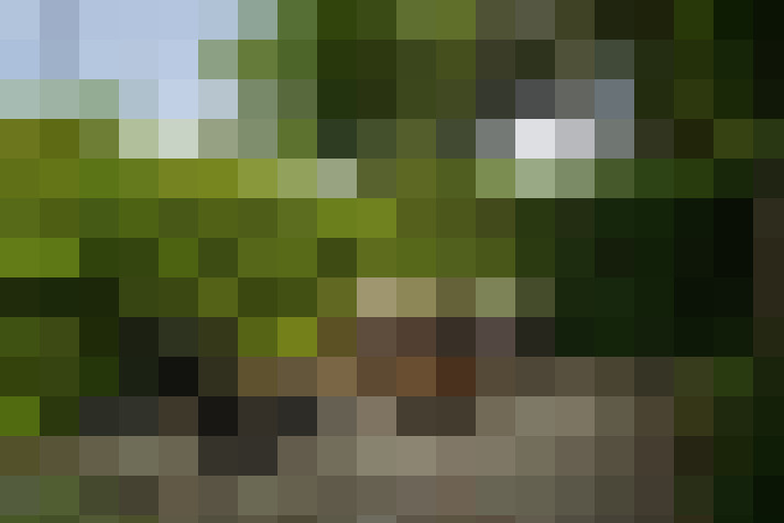 Image 24
