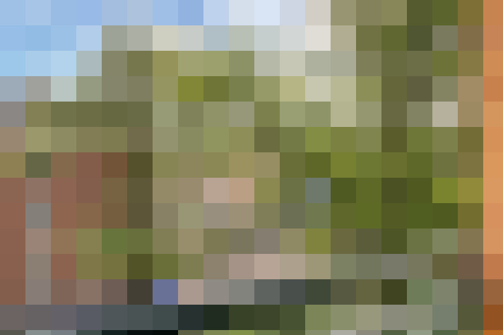 Image 14