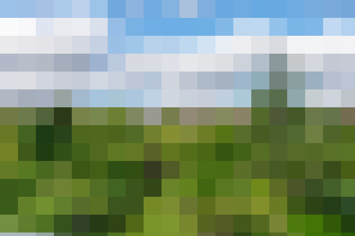 Image 36