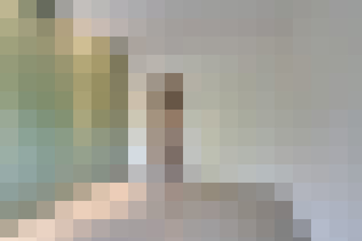 Image 44