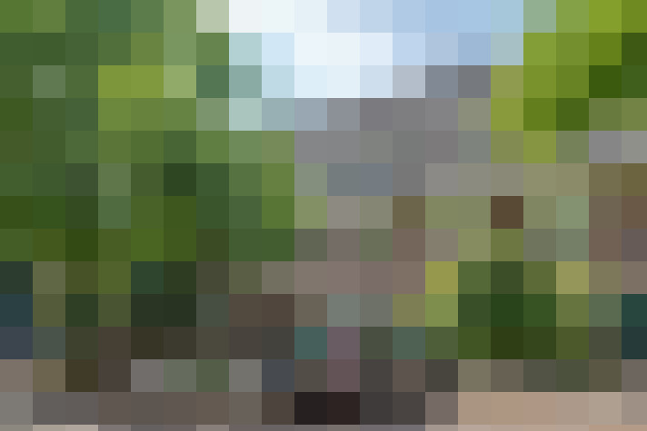 Image 51
