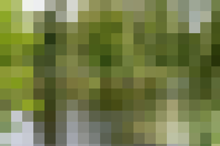 Image 54