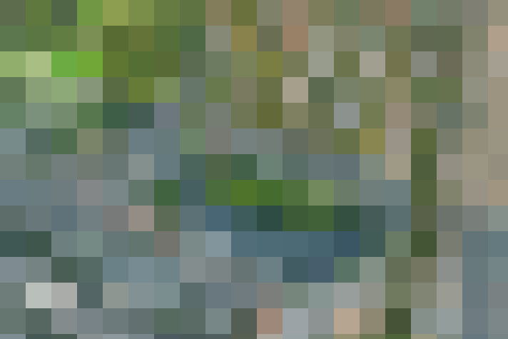 Image 61