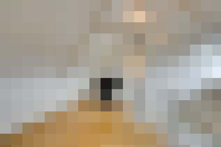 Image 31