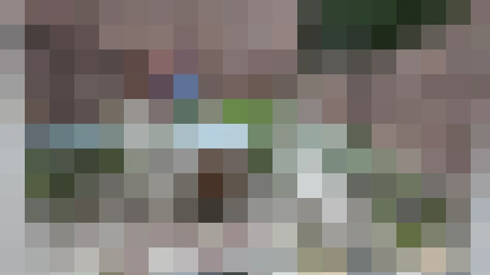 Image 21