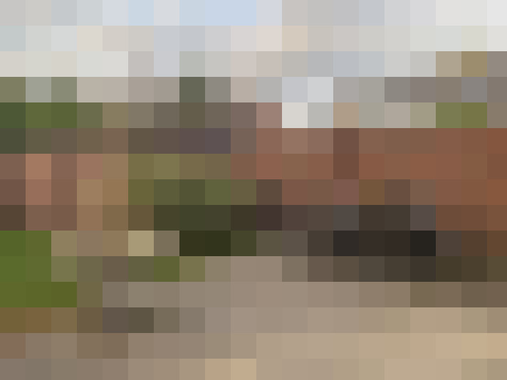 Image 20