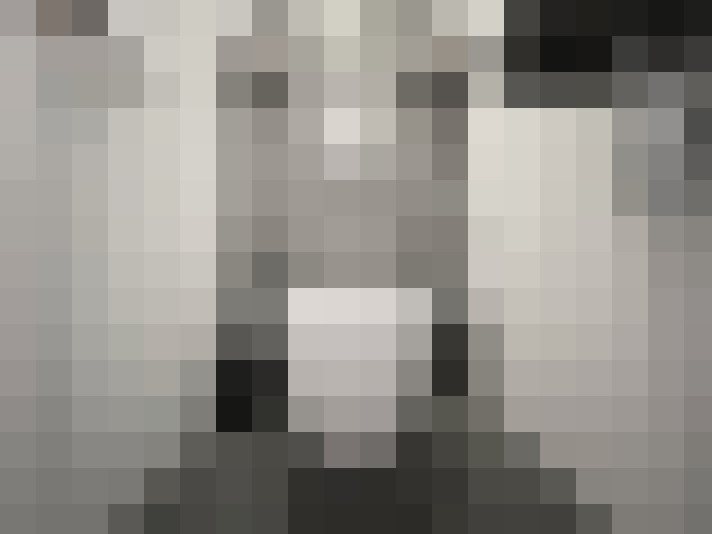 Image 14