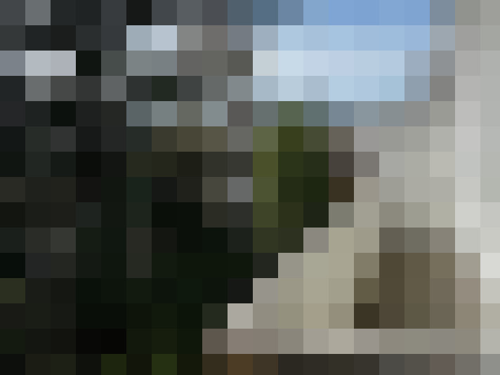 Image 13