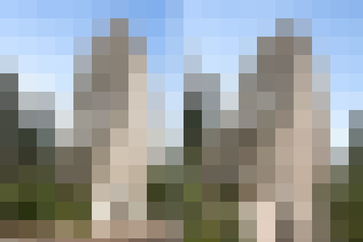Image 31