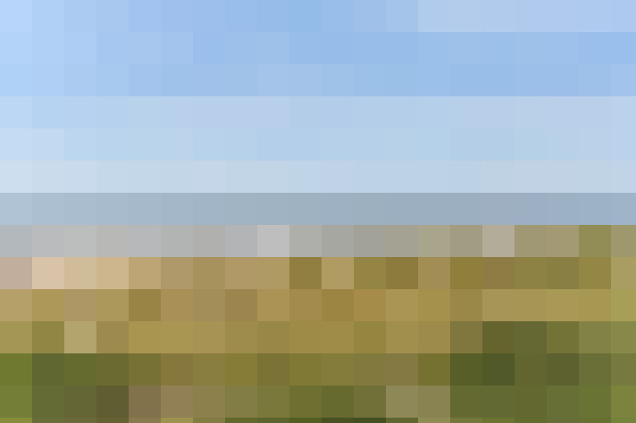 Image 42