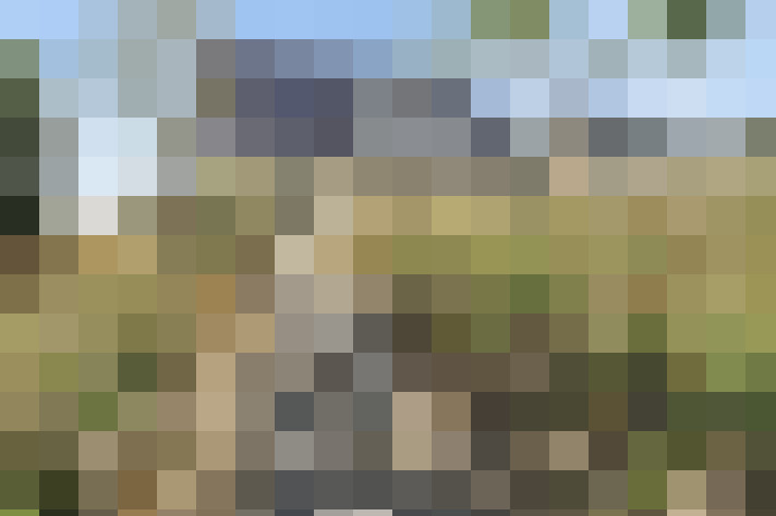 Image 40