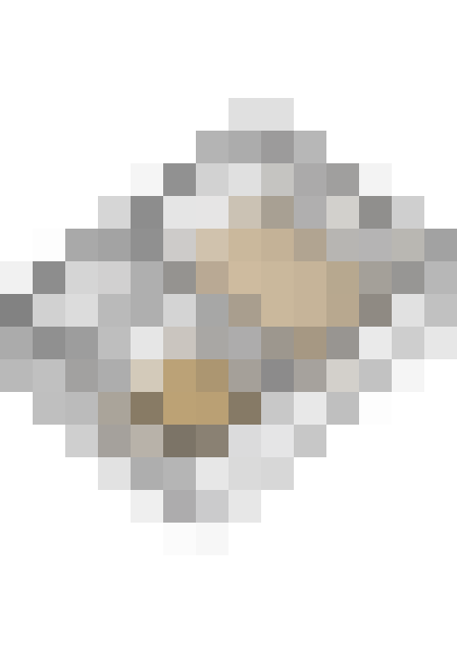 Image 31