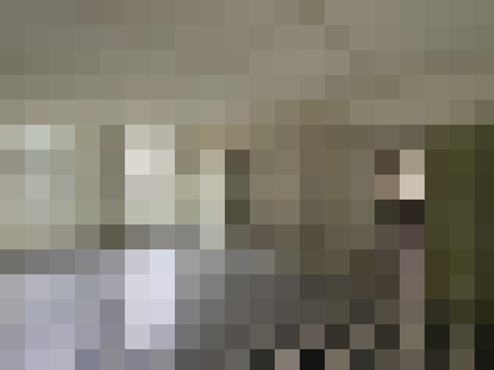 Image 15