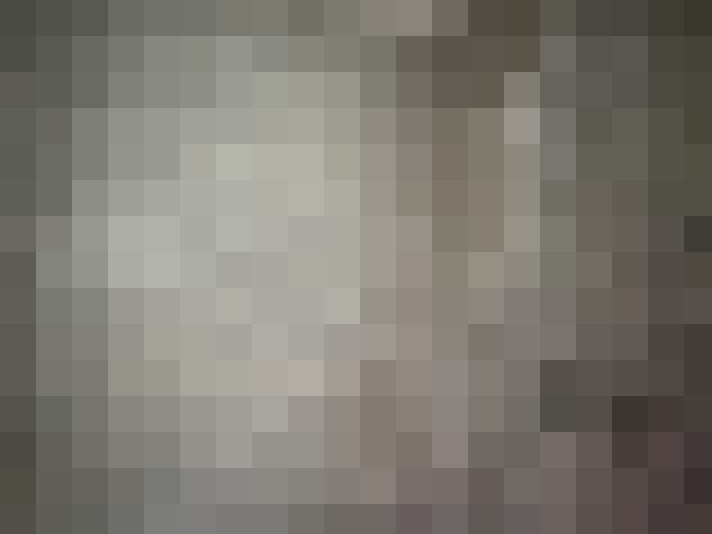 Image 22