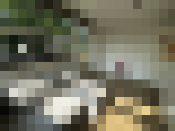Image 16