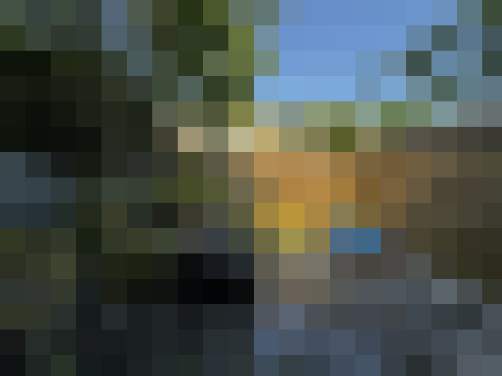 Image 17