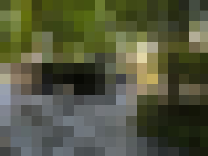 Image 18