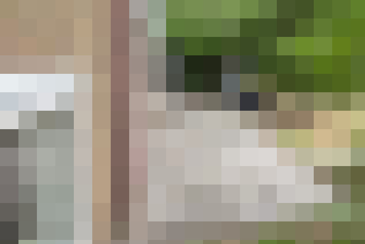 Image 22