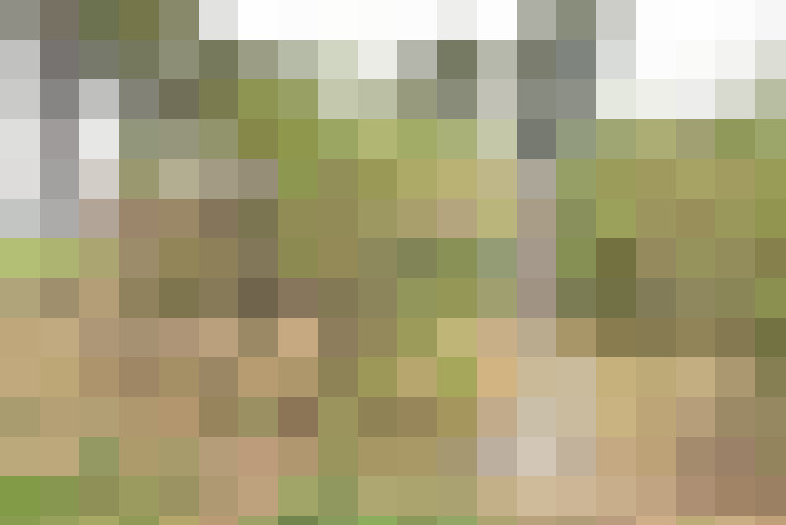 Image 25