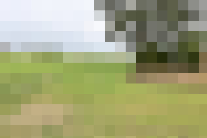 Image 27