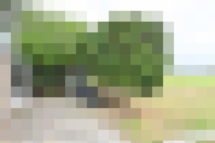 Image 23