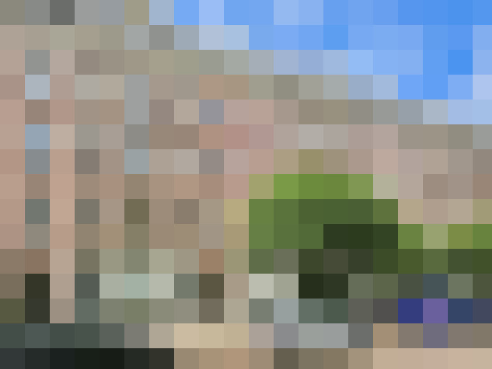 Image 24