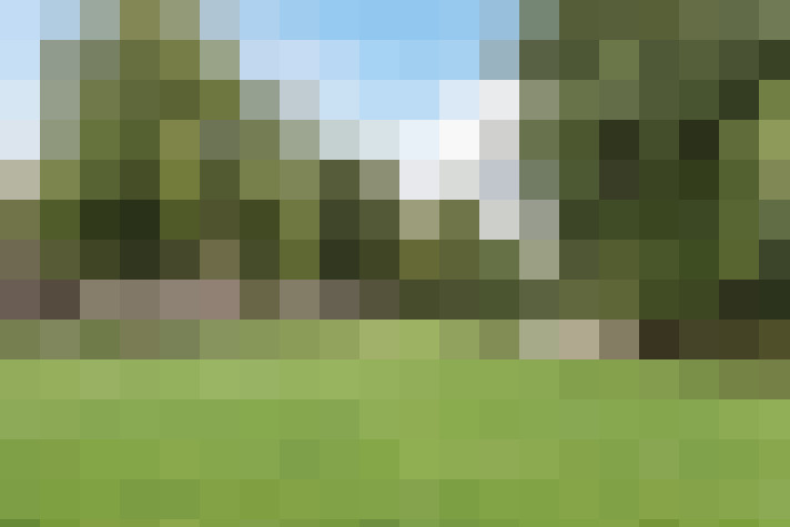 Image 33