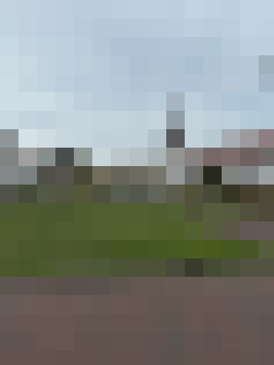Image 23
