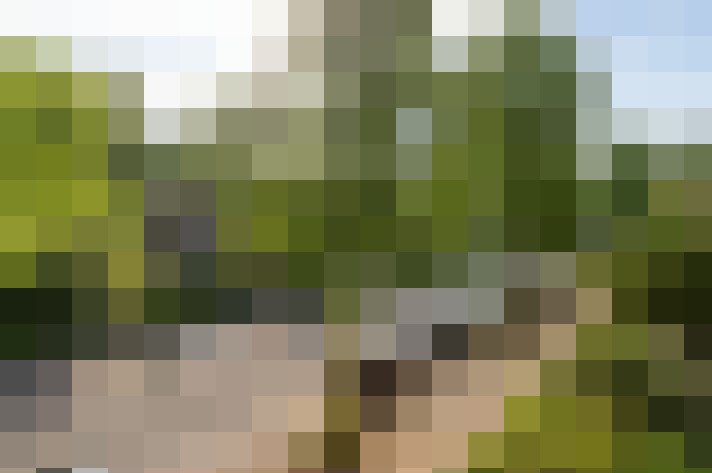 Image 16