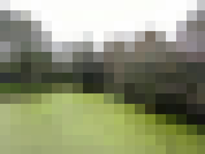 Image 42