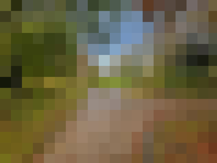 Image 24