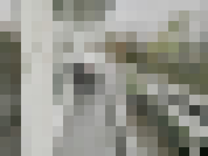 Image 22