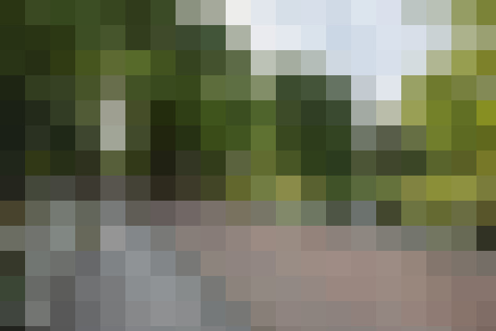 Image 25