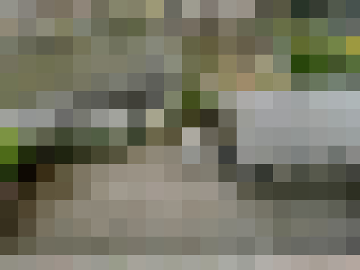 Image 23