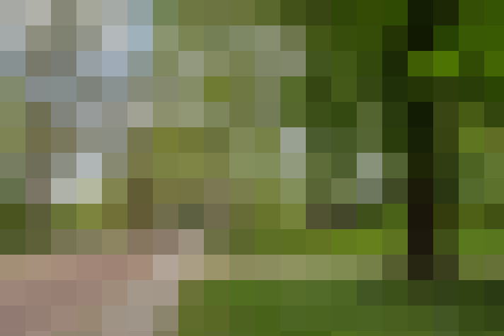 Image 26