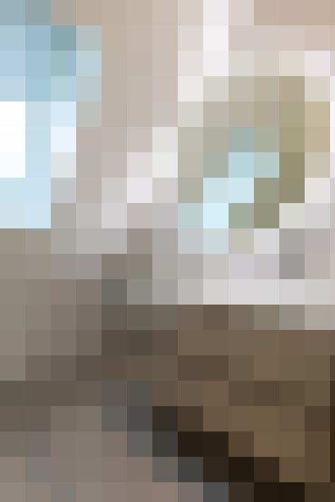 Image 29