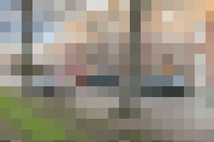 Image 19