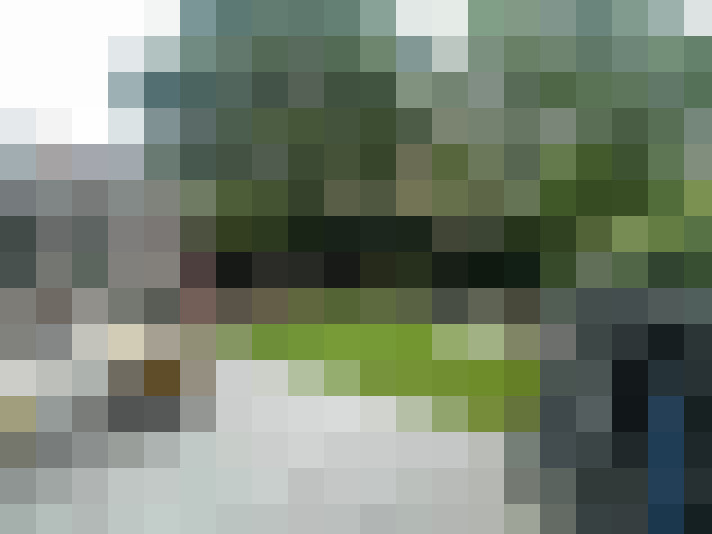 Image 17