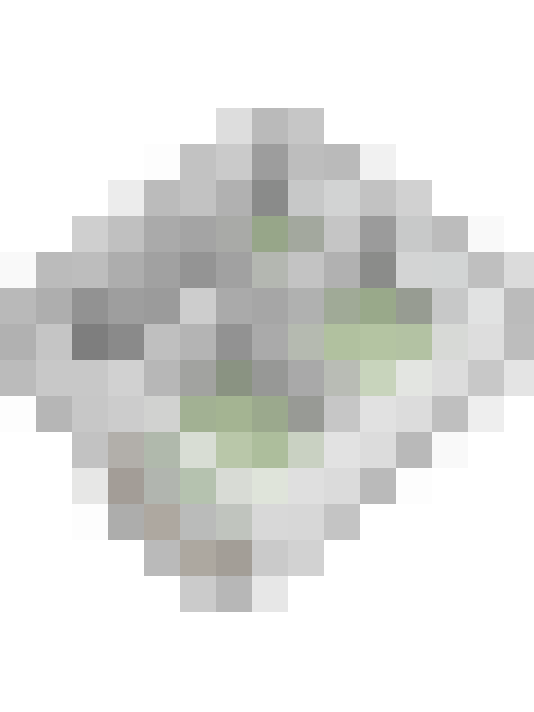 Image 31