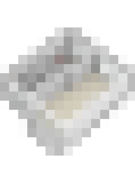 Image 29