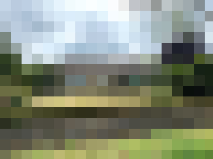 Image 24