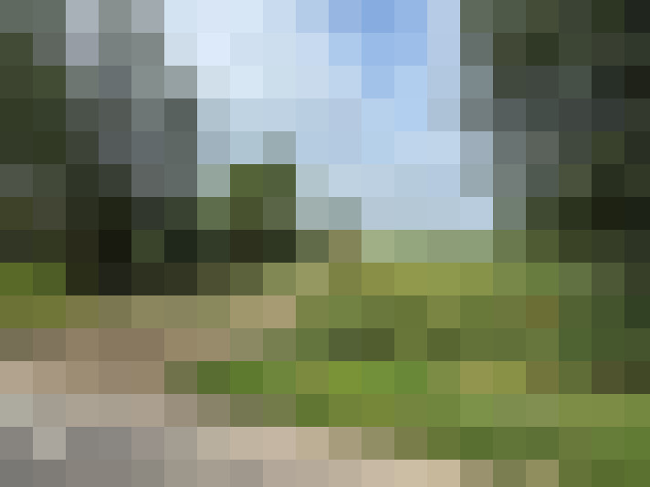 Image 23